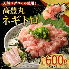 【ふるさと納税】 ネギトロ 600g (200g×3パック) 冷凍 小分け | ねぎとろ 国産 まぐろ 鮪 まぐろたたき ギフト 個包装 魚 魚介 海鮮 新鮮 便利 簡単調理 お手軽 ネギトロ丼 ユッケ 手巻き 寿司 すし 冷凍 人気 おすすめ 訳あり 高知県 室戸市