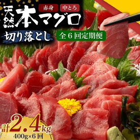 【ふるさと納税】 6回 定期便 天然 本マグロ 中トロ 赤身 切り落とし 400g 小分け ( 100g × 4パック ) 訳あり マグロ 刺身 カルパッチョ まぐろ丼 まぐろ漬け丼 魚 惣菜 海鮮丼 魚介類 食べきりサイズ 冷凍 不揃い クロマグロ 黒マグロ ふるさと納税マグロ 高知県 室戸市