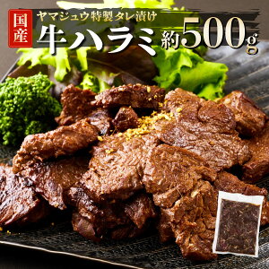 yӂ邳Ɣ[Łz }WE̓^ЂIn~500g  y Ⓚ Ђ  󏭕  BBQ o[xL[ AEghA OsO Lv  15,000~  yj061