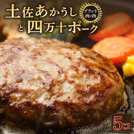 【ふるさと納税】 土佐あかうしと四万十ポークのハンバーグ　5個セット 惣菜 おかず 冷凍 小分け 豚 高知県 牛 四万十ポーク 土佐あかうし 赤牛 赤うし 国産 温めるだけ 湯煎 送料無料 yj070