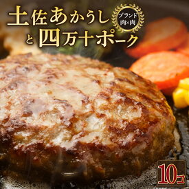 【ふるさと納税】 土佐あかうしと四万十ポークのハンバーグ　10個セット 惣菜 おかず 冷凍 小分け 豚 高知県 牛 四万十ポーク 土佐あかうし 赤牛 赤うし 国産 温めるだけ 湯煎 送料無料 yj071