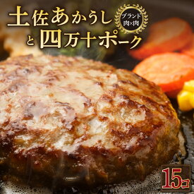 【ふるさと納税】 土佐あかうしと四万十ポークのハンバーグ　15個セット 惣菜 おかず 冷凍 小分け 豚 高知県 牛 四万十ポーク 土佐あかうし 赤牛 赤うし 国産 温めるだけ 湯煎 送料無料 yj072