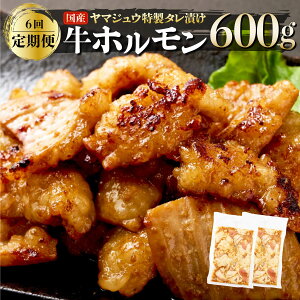 【ふるさと納税】 ヤマジュウの特選タレ漬け!国産牛ホルモン600g【6回定期便】 国産 牛 ホルモン 焼肉 味付き 送料無料 yj085