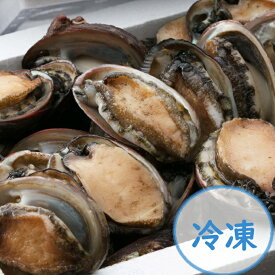 楽天市場 トコブシの通販