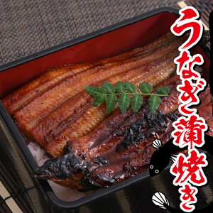 うなぎ 送料無料 その他の魚介類の人気商品 通販 価格比較 価格 Com