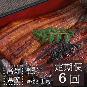国産 うなぎ その他の魚介類の人気商品 通販 価格比較 価格 Com 国産 うなぎ その他の魚介類の人気商品 通販 価格比較 価格 Com