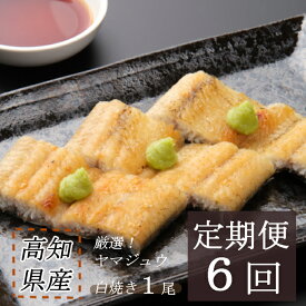 【ふるさと納税】 ヤマジュウ厳選！国産うなぎ白焼き1尾【6回定期便】 ウナギ 鰻 白焼き 加工品 魚 魚介類 惣菜 冷凍 送料無料 yj050
