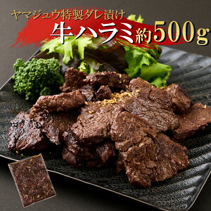 yӂ邳Ɣ[Łz }WE̓^ЂIn~500g  y Ⓚ Ђ  󏭕  BBQ o[xL[ AEghA OsO Lv  31,000~  yj061