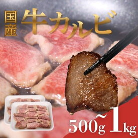 【ふるさと納税】 国産 牛カルビ 選べる容量 ＆ 定期便 ヤマジュウ 冷凍 小分け 高知県 室戸市 返礼品 送料無料