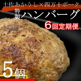 【ふるさと納税】 土佐あかうしと四万十ポークのハンバーグ　5個セット【6回定期便】 惣菜 おかず 冷凍 小分け 豚 高知県 牛 四万十ポーク 土佐あかうし 赤牛 赤うし 国産 温めるだけ 湯煎 送料無料 yj083