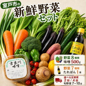 【ふるさと納税】 選べる内容量 野菜 7種類 8種類 7～10種類 お味噌 ポン酢 セット 定期便 2回 4回 詰め合わせ 旬 おまかせ 新鮮 やさい 味噌 みそ 吉良川みそ 調味料 高知県 室戸市 5000円 10000円 1万円 以下 送料無料 人気 おすすめ 頒布会 高知県 室戸市