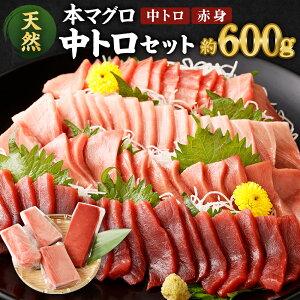 yӂ邳Ɣ[Łz I VR {}O g ՂZbg v600g ( g 400gE Ԑg 200g) ӂ邳Ɣ[  Hה ubN  y hg  hg  ܂똥 hg 芪