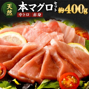 yӂ邳Ɣ[Łz IVR{}O 2 v400g (g200gEԐg200g) Hה TN ubN  y hg ܂똥 芪i CN Ⓚ  ge010