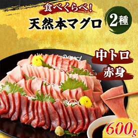 【ふるさと納税】 厳選 天然 本マグロ 中トロ 赤身 食べ比べセット 合計 約600g ( 中トロ 約200g・赤身 約400g) ふるさと納税限定 魚 惣菜 まぐろ 刺身 お刺し身 鮪 魚介 ちらし寿司 手巻き寿司 訳あり 海鮮丼 漬け丼 冷凍 送料無料 人気 訳アリ 魚介類 高知県 室 戸市