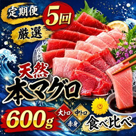 【ふるさと納税】 【定期便5回】 厳選天然本マグロ 豪華定期便 お楽しみ セット 1回あたり約600g 【訳あり】 まぐろ 鮪 大トロ 中トロ 赤身 食べ比べ 刺身 刺し身 お刺身 海鮮丼 寿司 魚 魚介類 冷凍 冷凍配送 定期便 5回 ふるさと納税限定 送料無料 高知県 室戸市