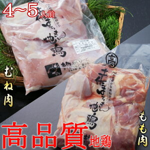 yӂ邳Ɣ[Łz ͂n{̂Eނ˓ 1kgZbg@ˊCm[wt l Zbg   Y Ⓚ o[xL[ BBQ Lv Lv ē Ă J[ ^