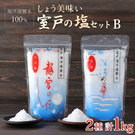 【ふるさと納税】しょう美味い室戸の塩セット B 2種類 合計1kg (500g×2) 深海の華 龍宮のしほ 塩 しお ソルト 調味料 国産 送料無料 mr002