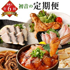 【ふるさと納税】 初音の定期便お楽しみセット！！偶数月年6回お届け【おひとり様向け】 偶数月 定期便 惣菜 鮮魚 肉 加工品 珍味 年6回定期便 旬の鮮魚 タタキ 釜飯 セット 漬け高知県 室戸市