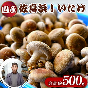 yӂ邳Ɣ[Łz Y l 500g ő   ܂ ۏ ̂ LmR   ͂  6000~ m nc002