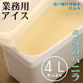 楽天市場 業務用アイス 4lの通販