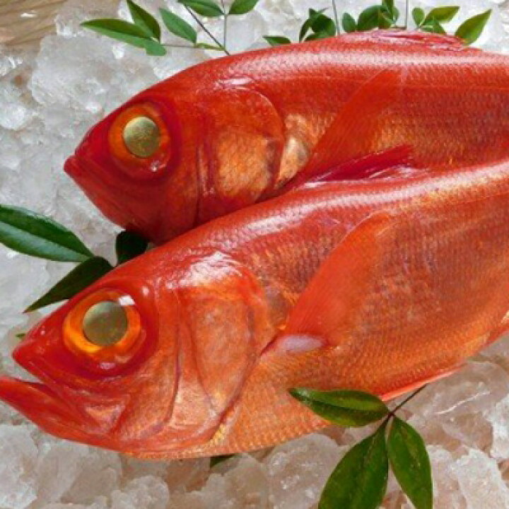 楽天市場 ふるさと納税 高級金目鯛 2尾 合計800g 1 2kg きんめだい キンメダイ 魚 タイ 鯛 魚介類 鮮魚 海鮮 送料無料 Ry030 高知県室戸市