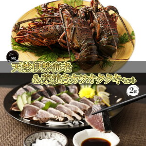 yӂ邳Ɣ[Łz ɐCV 1kg  mĂJcI 2 Zbg m ̂Ƃǂ VR ɐGr  CZGr ̃^^L ̂ CN  Y  ry056