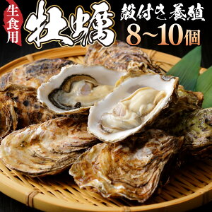 yӂ邳Ɣ[Łz yYz kty 鉲y v~AICX^[  8`10 ˊCm[w Hp H KL HpJL JL y  L ① s\ 10000~ 1~