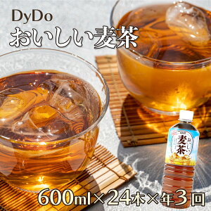 yӂ邳Ɣ[Łz y3ցz  600ml×24{×3 v72{ DyDo _Ch[  ނ JtFC[   ybg{g hN  3 