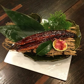 【ふるさと納税】室戸の炙り鯖寿司 (325g) うなぎの蒲焼き (140g) 2種類 セット 魚 寿司 お寿司 和食 惣菜 さば サバ ウナギ 鰻 冷蔵 送料無料 sz012