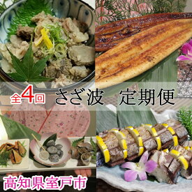【ふるさと納税】 【4回定期便】 室戸の定期便 セット (鯖寿司・うなぎのかば焼・うなぎの白?油焼・牛スジ煮込み) ＜3ヶ月に1回お届け＞ 魚 魚介類 寿司 さば 鯖 サバ キンメダイ 金目鯛 鰻 ウナギ うなぎ 牛すじ 加工品 惣菜 おかず 送料無料 sz016