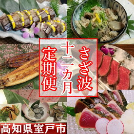 【ふるさと納税】 室戸の定期便【12ヶ月お届け便】 定期便 お楽しみ 魚介 海鮮 肉 牛肉 うなぎ かつお 貝 sz026