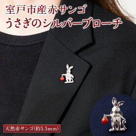 【ふるさと納税】 室戸市産赤サンゴ うさぎのシルバーブローチ 赤 サンゴ 珊瑚 さんご レディース 女性用 ブローチ ファッション アクセサリー かわいい おしゃれ プレゼント 送料無料 kn059