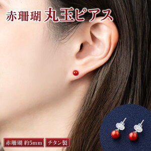 yӂ邳Ɣ[Łz ԎX ۋʃsAX 5mm  bh TS X  fB[X p t@bV ANZT[ 킢    kn004
