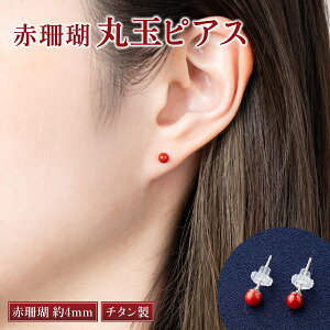 yӂ邳Ɣ[Łz ԎX ۋʃsAX 4mm  bh TS X  fB[X p t@bV ANZT[ 킢    kn003