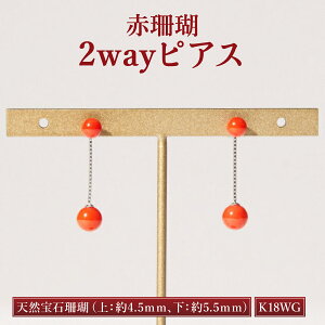 yӂ邳Ɣ[Łz ԃTS2waysAXmK18WGn  bh TS X  fB[X p sAX t@bV ANZT[ 킢    kn052