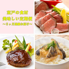 【ふるさと納税】 NEW★室戸の食材 de 美味しい定期便3回（3か月連続お届け） (ハンバーグ・ウツボの土佐茶漬け・ローストビーフ) 土佐あかうし お茶漬け ハンバーグステーキ 牛肉 肉 お肉 おかず 惣菜 3ヶ月 送料無料 sb034