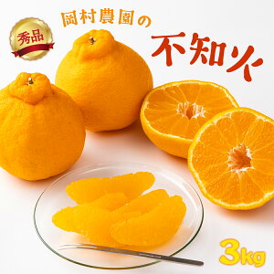 yӂ邳Ɣ[Łz yGiz ys\z _̕sm 3kg ʂ ʕ ~J  k t[c ϔ 12000~ 1~ Y 