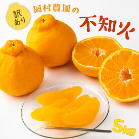 【ふるさと納税】 【先行予約】 【訳あり】 岡村農園の不知火 5kg 15〜23玉程度 不知火 しらぬい 果物 フルーツ 柑橘 みかん ミカン 傷あり 不揃い 大小混合 ご家庭用 農家直送 期間限定 数量限定 高知県 室戸市