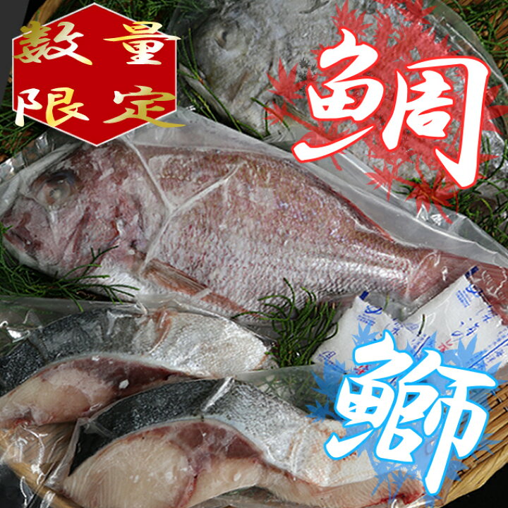楽天市場 ふるさと納税 鯛と鰤の舞い踊り 鯛 500g 700g 兵鯛 300g 400g 鰤 300g 400g 3種類 冷凍 切り身 タイ たい ブリ ぶり 魚介類 海鮮 送料無料 Md004 高知県室戸市