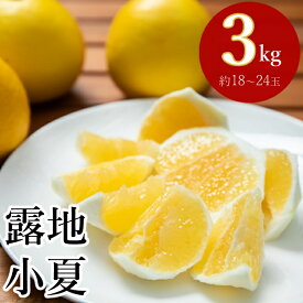 楽天市場 ふるさと納税 フルーツ みかん フルーツ 果物 食品の通販