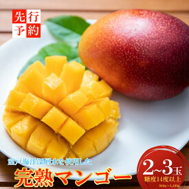 【ふるさと納税】 【先行予約】 令和8年度産 完熟 マンゴー 2〜3玉入り 果物 フルーツ アップルマンゴー （アーウィン） 室戸海洋深層水使用 先行予約 先行受付 数量限定 人気 おすすめ メリーガーデン 岡宗農園 ふるさと納税マンゴー 贈答 プレゼント 高知県 室戸市