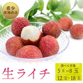 【ふるさと納税】 【令和8年6月上旬頃より発送】 生ライチ 5～8玉 / 12～18玉 国産 室戸海洋深層水仕込み ライチ 果物