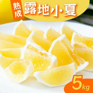 yӂ邳Ɣ[Łz y2026N5蔭z n In 5kg | k t[c ʕ Ԍ {̉ʕ ƒp Y _  m ˎs