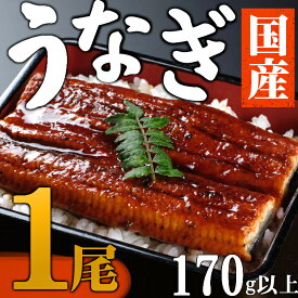 【ふるさと納税】 【数量限定】 海土のうなぎの蒲焼き　1尾 ウナギ 鰻 惣菜 冷凍 おかず 10000円 1万円 魚介 訳あり 送料無料 kd037