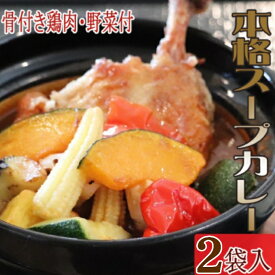 【ふるさと納税】お家でスープカレー　ちと辛いぞね　2袋　惣菜 冷凍 おかず お手軽 鶏肉 とり 加工食品 5000円 送料無料 kd045