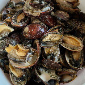 楽天市場 とこぶし 貝類 魚介類 水産加工品 食品の通販