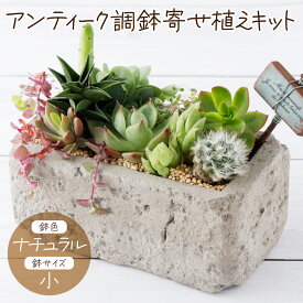 【ふるさと納税】サボテン多肉植物の「アンティーク調鉢寄せ植えキット」（鉢色・ナチュラル、鉢サイズ・小） 寄せ植え説明書付 キット 初心者 おすすめ sh008