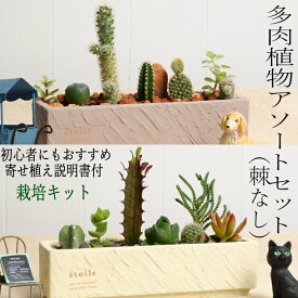 楽天市場 サボテン セットの通販