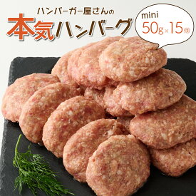 【ふるさと納税】 ハンバーガー屋の本気ミニハンバーグ750g（50g×15個） ＜ 国産 高知県産 牛肉 豚肉 ブランド肉 希少 土佐あかうし 四万十ポーク ＞ sd018