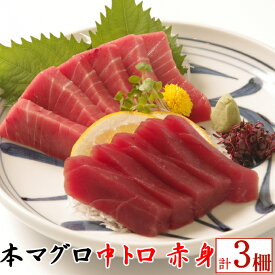 【ふるさと納税】天然本マグロ　中トロ2柵　赤身1柵　（計600g） 刺身 漬け丼 海鮮丼 マグロ丼 ちらし寿司 鮪 まぐろ ネギトロ丼 魚介 惣菜 冷凍 送料無料 eb015